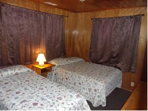 Honey Bear Lodge & Cabins 