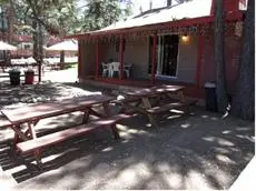 Honey Bear Lodge & Cabins 