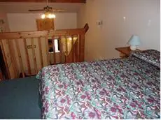 Honey Bear Lodge & Cabins 