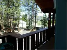 Honey Bear Lodge & Cabins 