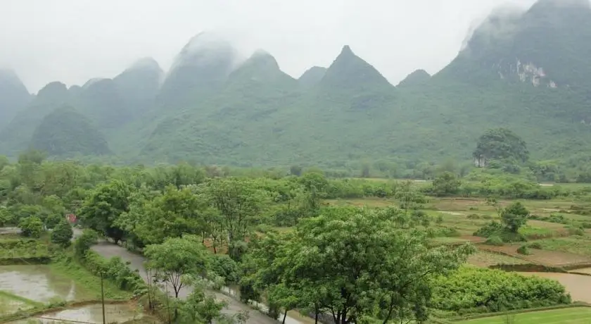 Yangshuo Tea Cozy 