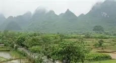 Yangshuo Tea Cozy 