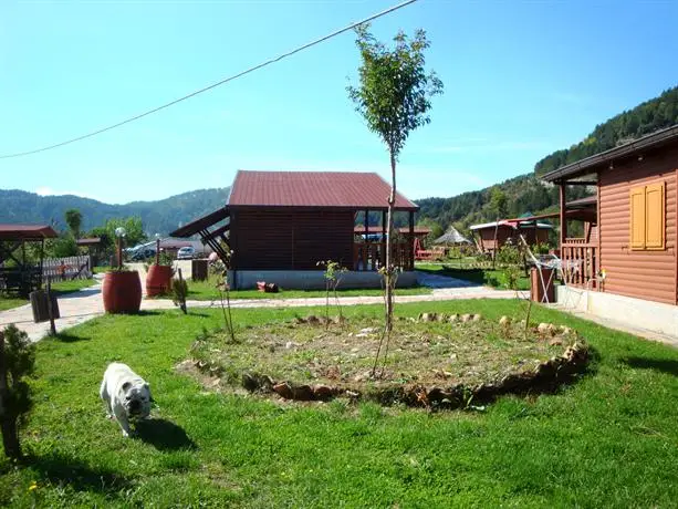 Papa Village 