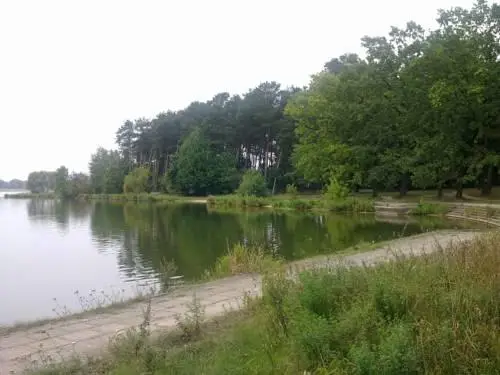 Osrodek Wypoczynkowy Forest 