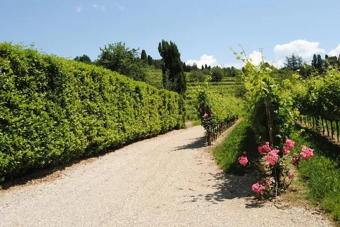 Agriturismo Giorgio Colutta 