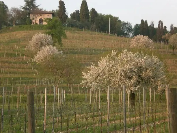 Agriturismo Giorgio Colutta