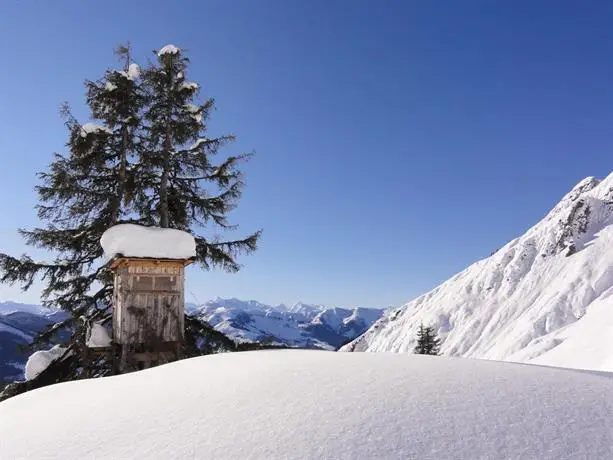 Matzhof Leogang 