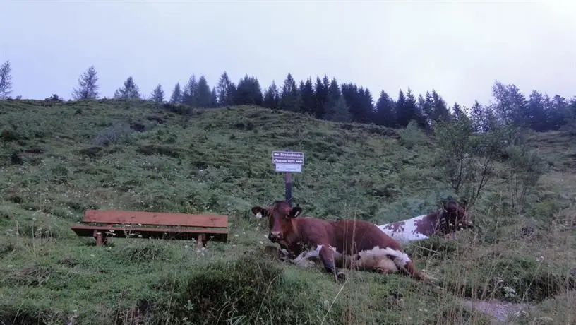 Matzhof Leogang 