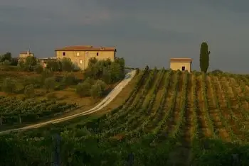 Tenuta Di Monaciano 