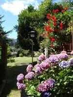 Bed and Breakfast I Lamponi 