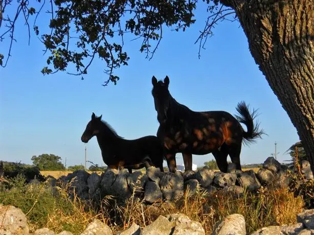 Agriturismo Masseria Casa Busciana 