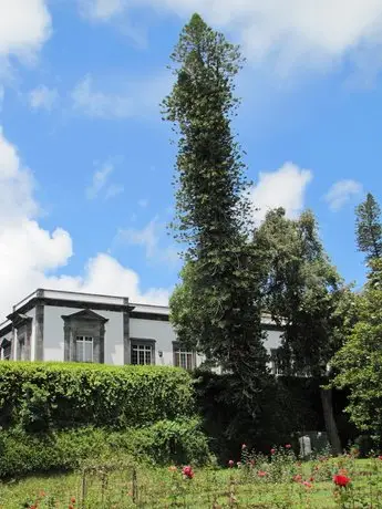 Casa Do Jardim Ponta Delgada Sao Miguel Island