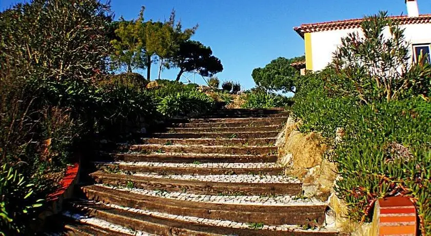 Quinta Da Torre 