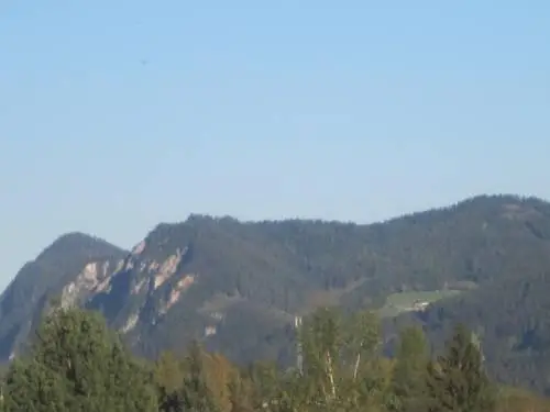 Landgasthof Alpenblick 