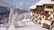 Alpenhotel Plattner 