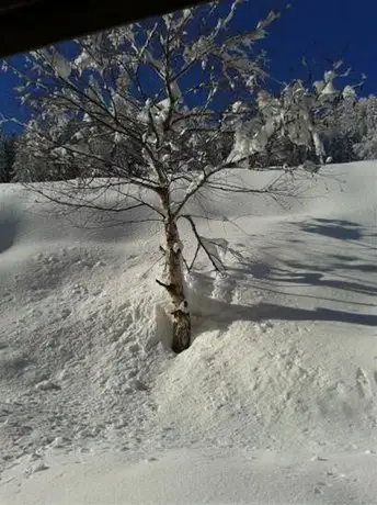 Alpenblick Pension Kartitsch