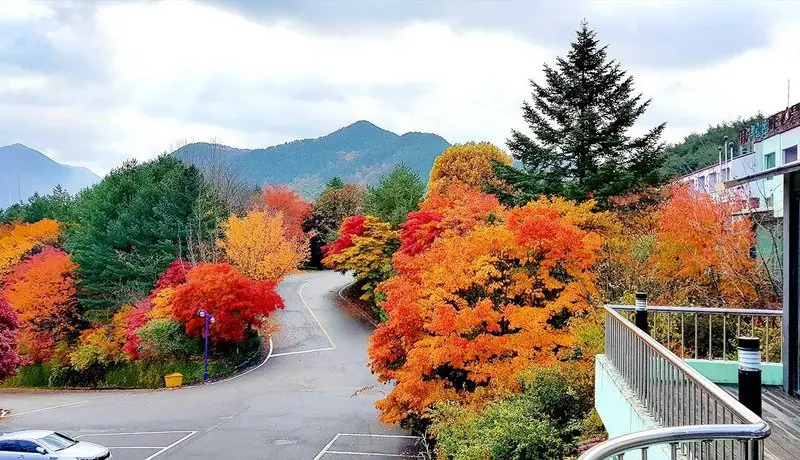 Suanbo Park Hotel 