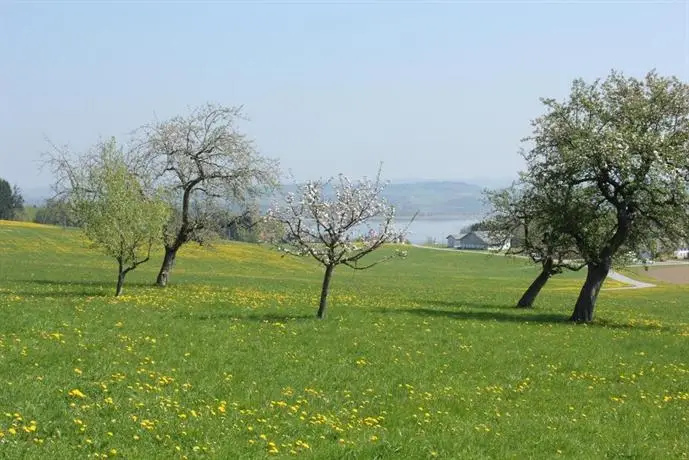 Baby- und Kinderhof Aicherbauer 