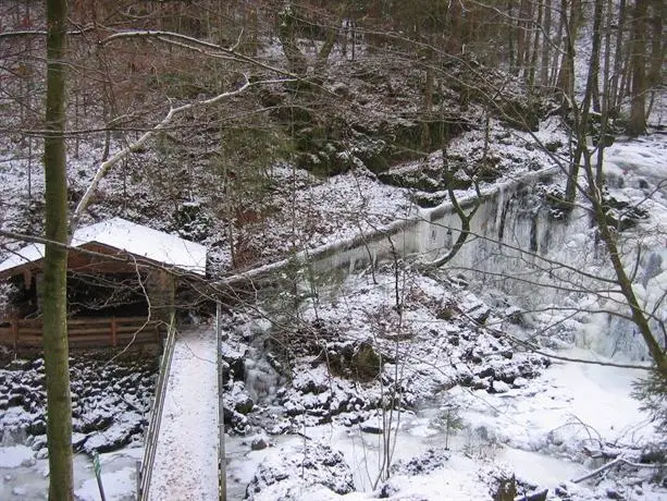 Baby- und Kinderhof Aicherbauer 