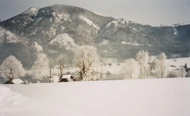 Plombergbauer 