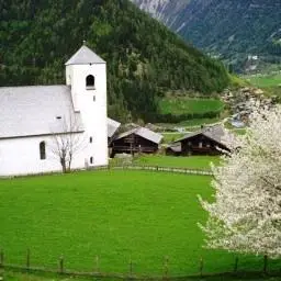 Bauernhof Mesnerhof