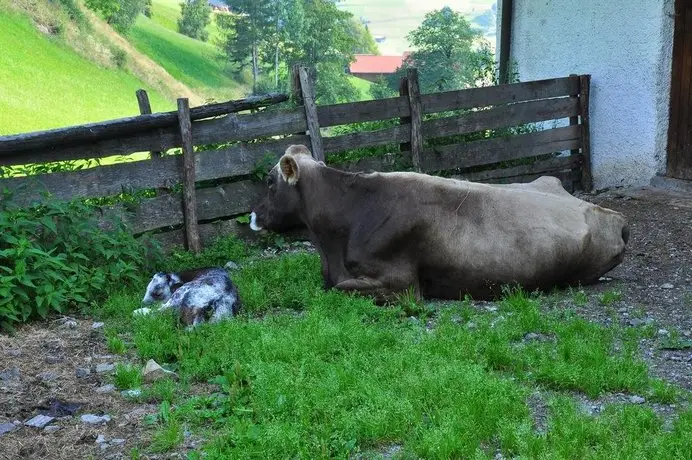 Familienwanderhof Eggeler 