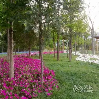 Tian Xi Flower&Moon Hotel 