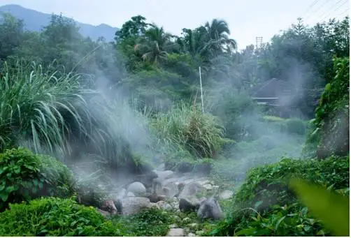 Litchi Garden Rainforest Hot Spring Resort 