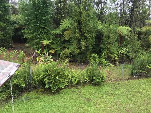 Volcano Bamboo View Cottage 