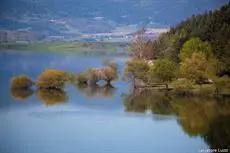 Il Falco e Il Gabbiano 