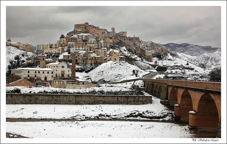 Il Falco e Il Gabbiano 