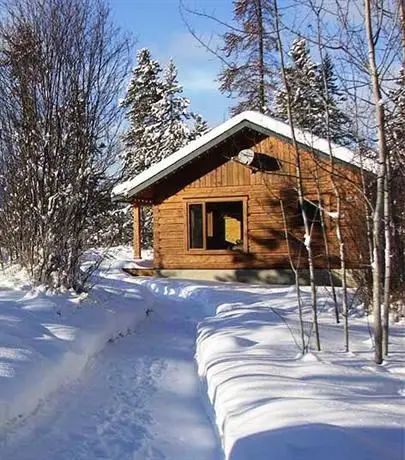 Mica Mountain Lodge & Log Cabins 