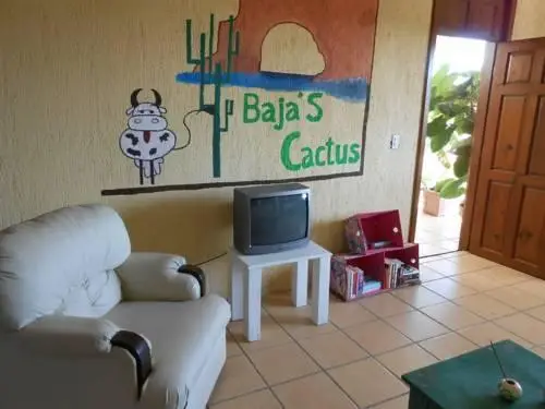 Bajas Cactus Hostel 