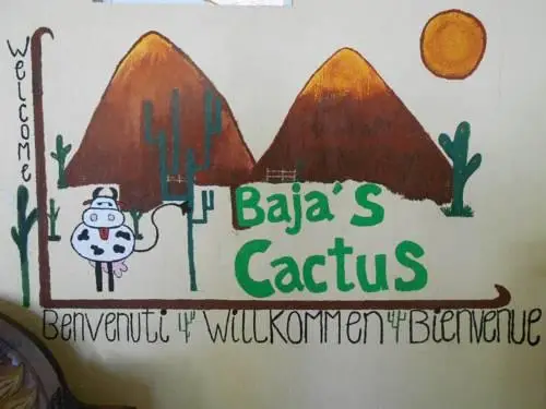 Bajas Cactus Hostel 