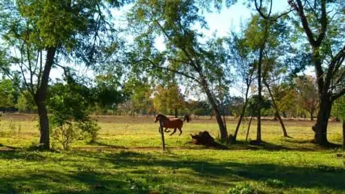 Hospedagem do Sitio Preserva 