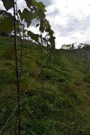 Pousada Rio da Prata 