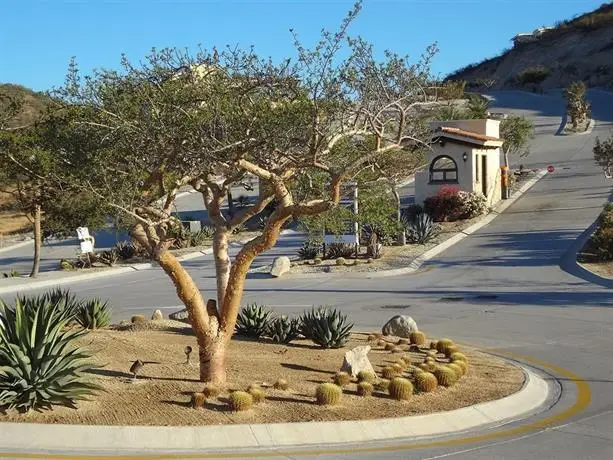 Cabo Marina Beach Condos 