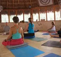 Organic Yoga Mexico 