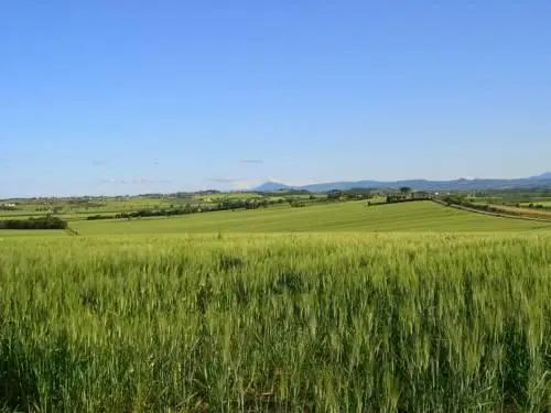 Agriturismo San Francesco 