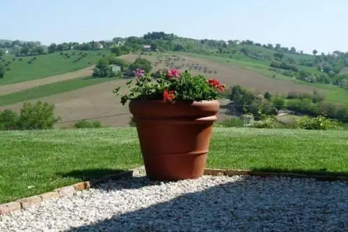 Colline Di Bartolo