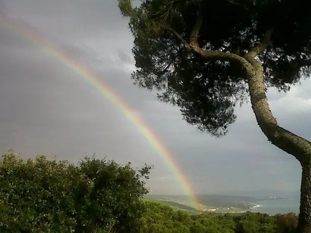 La Casa di Ulisse B&B 