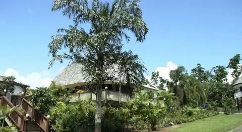 Samoa Tradition Resort 