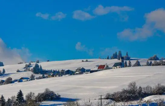 Hotel Gasthof Rose 