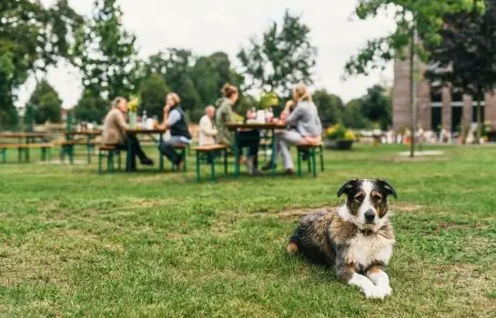 Gastehaus am Landgut 