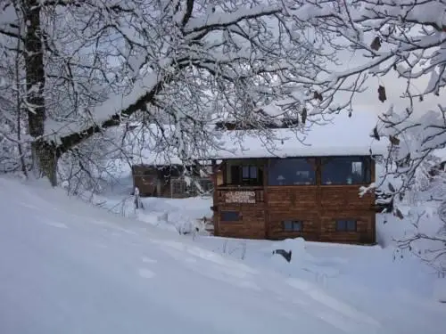 Chambres d'Hotes Chalet de la Source