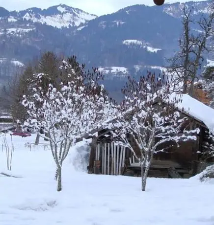 Chambres d'Hotes Chalet de la Source 