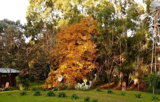 Posada del Viento 