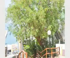 Elounda Apartments 