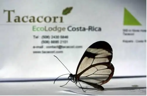 Tacacori EcoLodge 