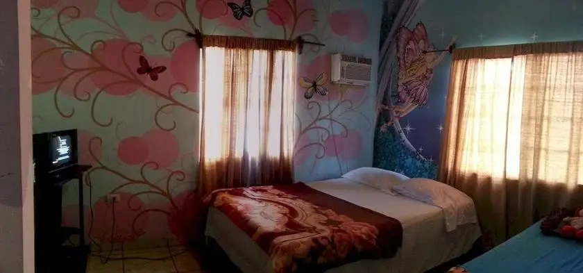 The Guaras Hostal - Hostel 